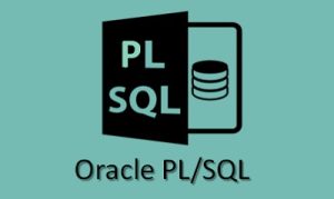 Oracle pl/sql